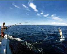 large mouth bass fishing