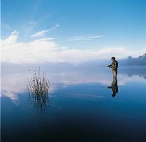 barbel fishing