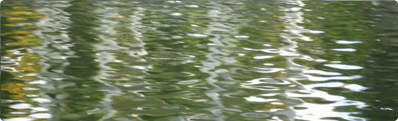 header_bg.jpg