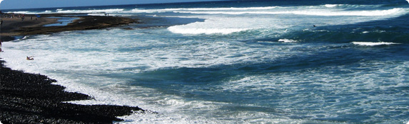 header_bg6.jpg